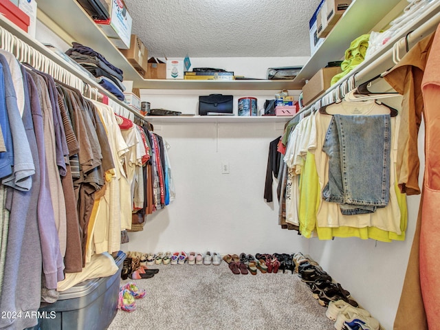 spacious closet with carpet