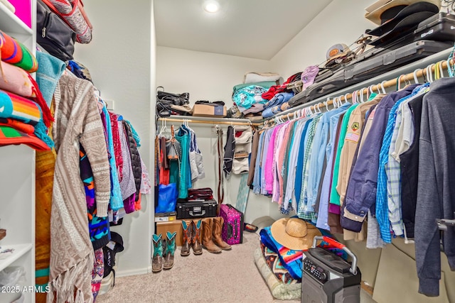 5218 W Lydia Ln, Laveen, AZ 85339 - spacious closet with carpet flooring