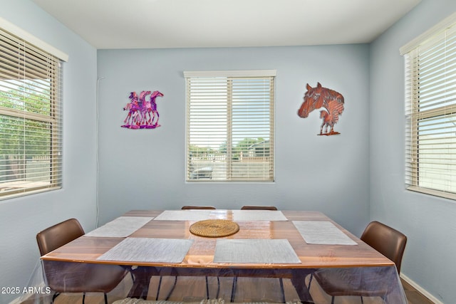 5218 W Lydia Ln, Laveen, AZ 85339 - view of dining room
