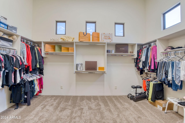 walk in closet featuring a towering ceiling and carpet flooring