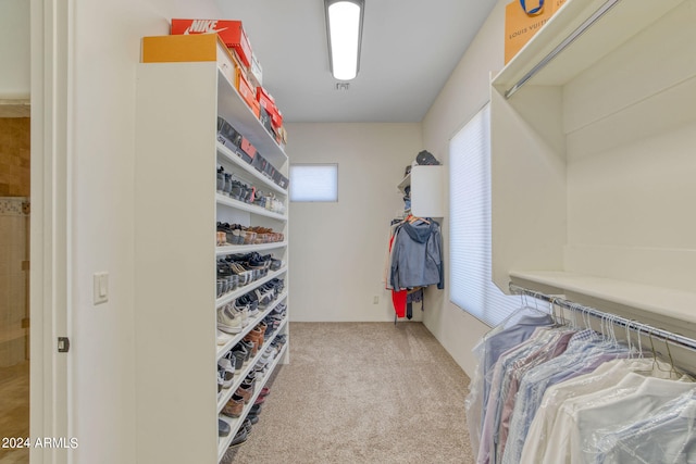 spacious closet with light colored carpet