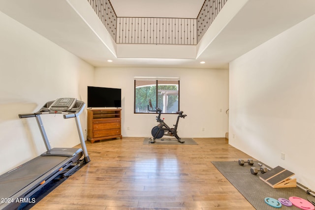 exercise area featuring a towering ceiling and light wood-type flooring