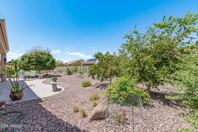 view of yard with a patio area and a fenced backyard