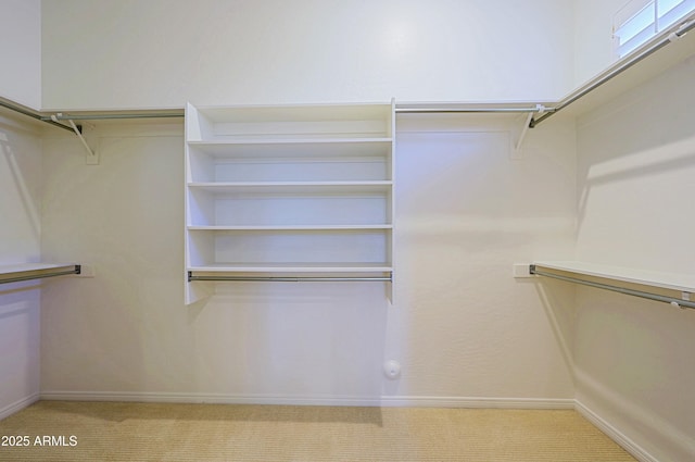 spacious closet featuring light colored carpet