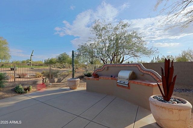 view of patio with grilling area and an outdoor kitchen