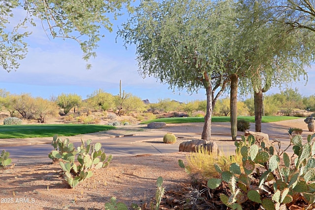 view of surrounding community