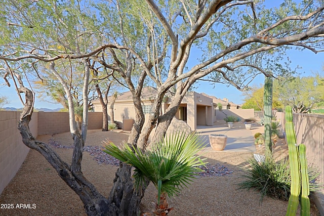 view of yard with a patio