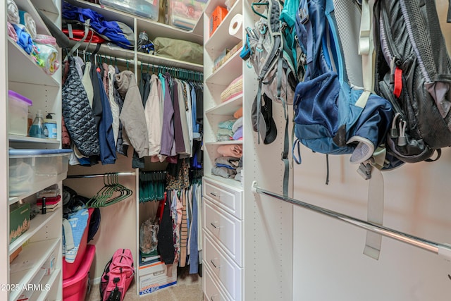 view of spacious closet