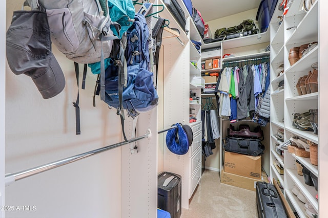 walk in closet with light carpet