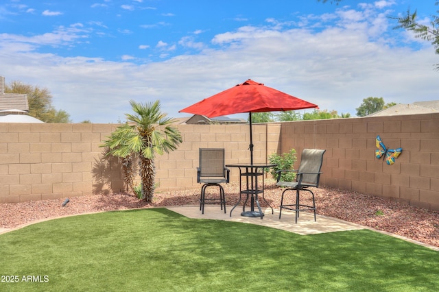 view of yard with a patio area and a fenced backyard