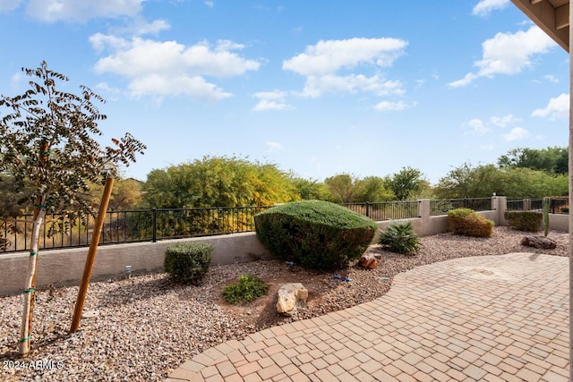 view of yard with a patio area