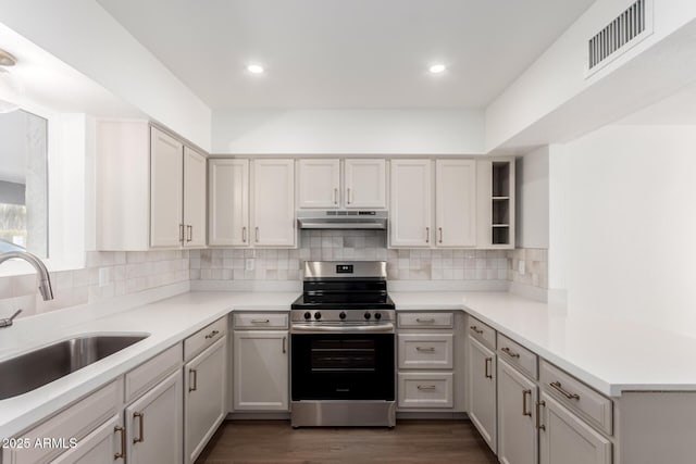 kitchen featuring tasteful backsplash, sink, electric range, and dark hardwood / wood-style flooring