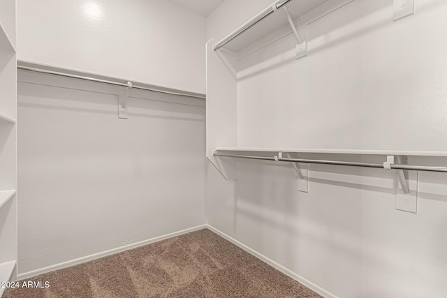 walk in closet with carpet flooring
