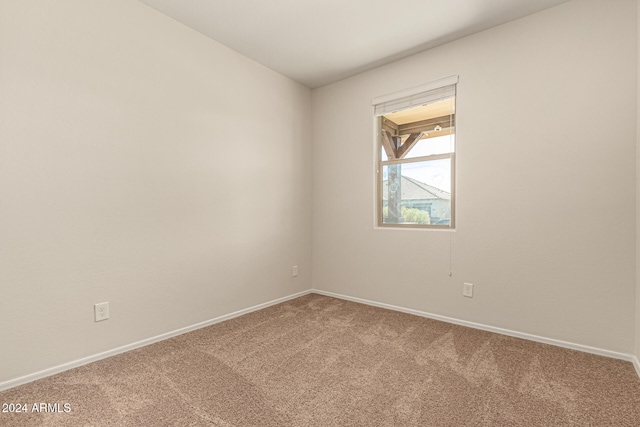 spare room with carpet