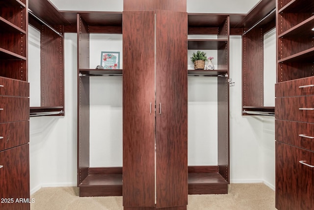 3622 E Sparrow Pl, Chandler, AZ 85286 - walk in closet with carpet flooring