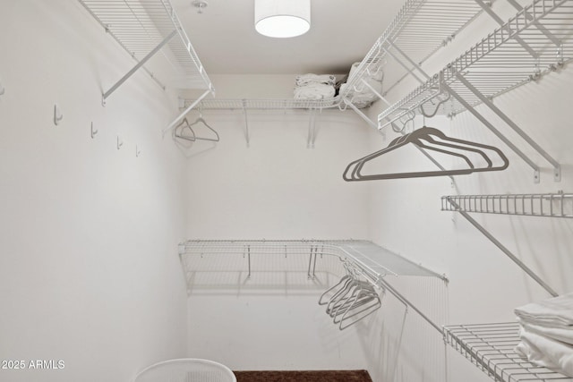 view of walk in closet