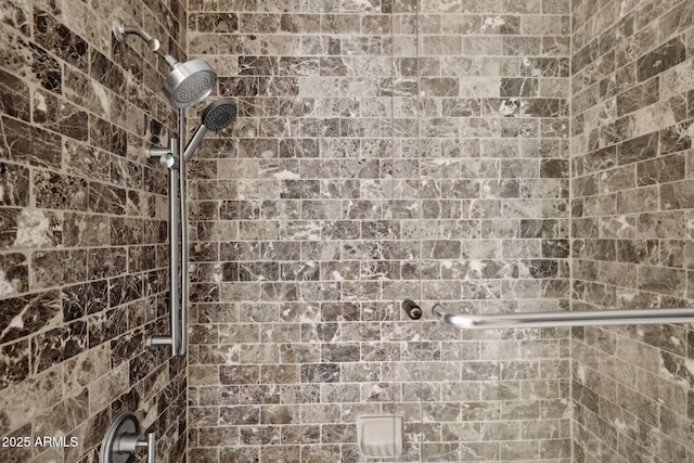 room details with tiled shower