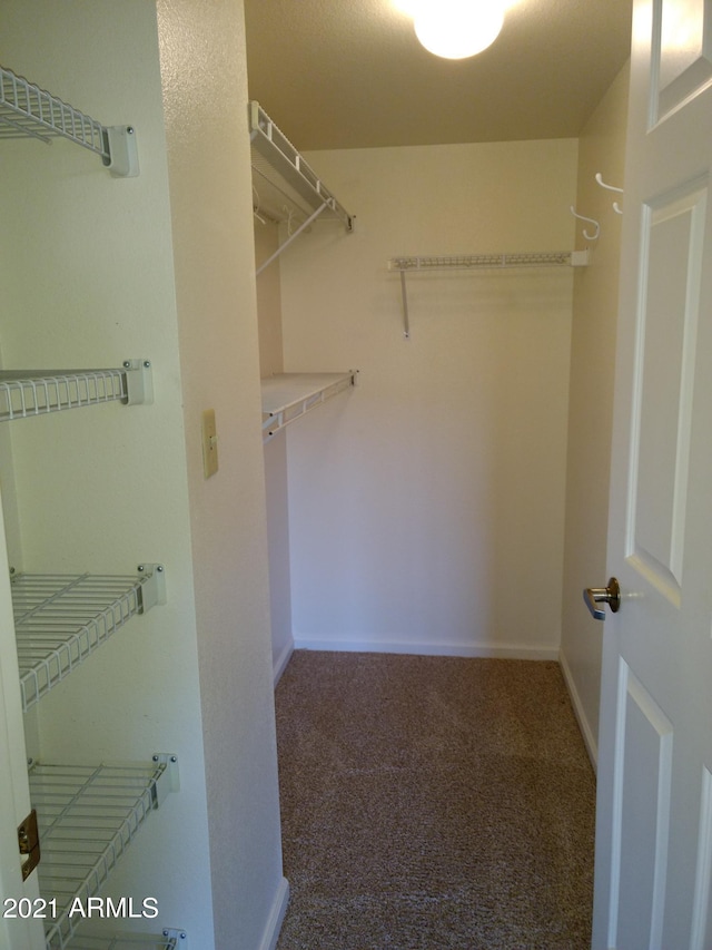 spacious closet featuring carpet floors