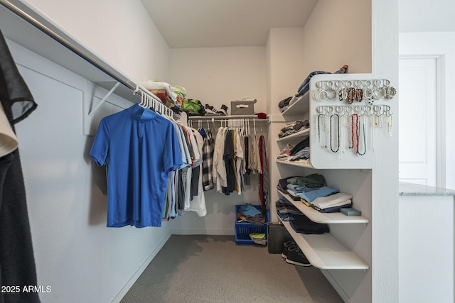 walk in closet with carpet floors