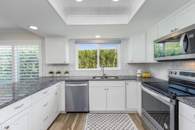 kitchen featuring sink, white cabinets, dark stone counters, a tray ceiling, and stainless steel appliances