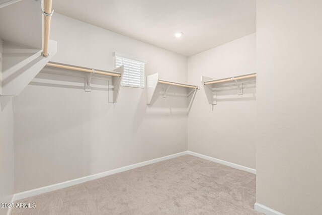 spacious closet with light carpet