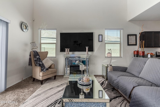 living room with carpet flooring