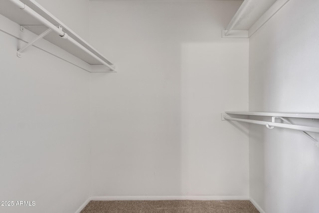 walk in closet with carpet