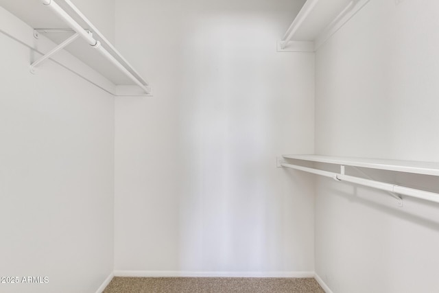 spacious closet featuring carpet flooring