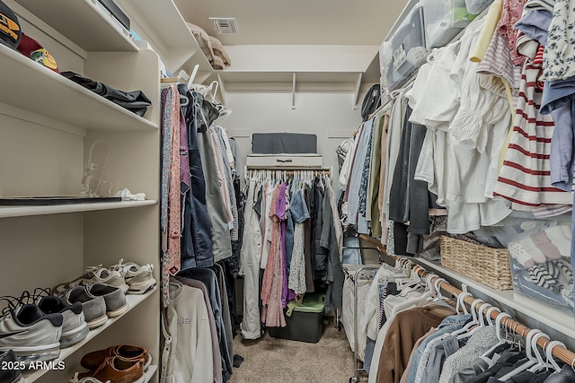3925 E Elmwood St, Mesa, AZ 85205 - walk in closet with carpet