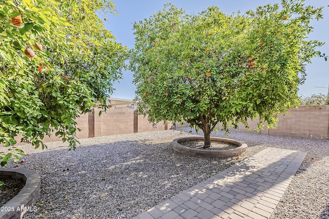 3925 E Elmwood St, Mesa, AZ 85205 - view of fenced backyard