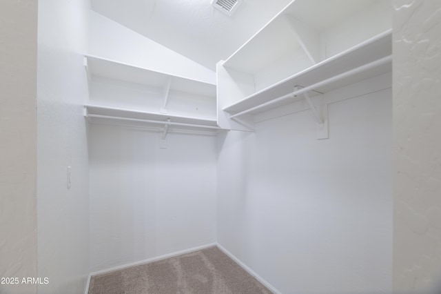 41388 W Hopper Dr, Maricopa, AZ 85138 - walk in closet featuring carpet flooring