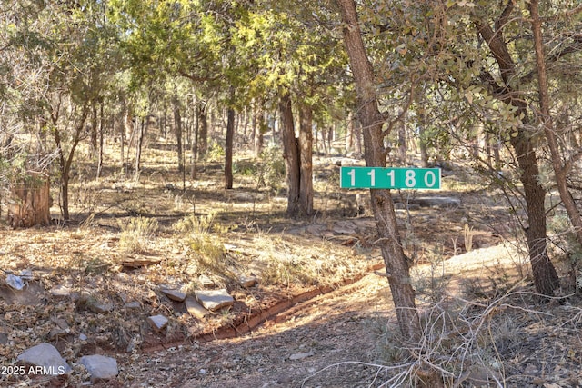 11180 N Houton Mesa Rd Unit 77, Payson AZ, 85541 land for sale