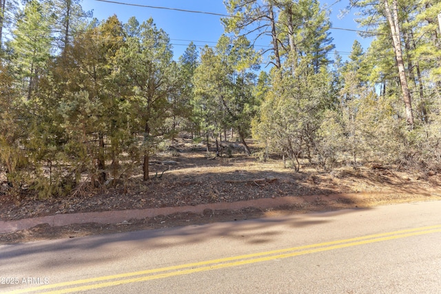 Listing photo 2 for 11180 N Houton Mesa Rd Unit 77, Payson AZ 85541