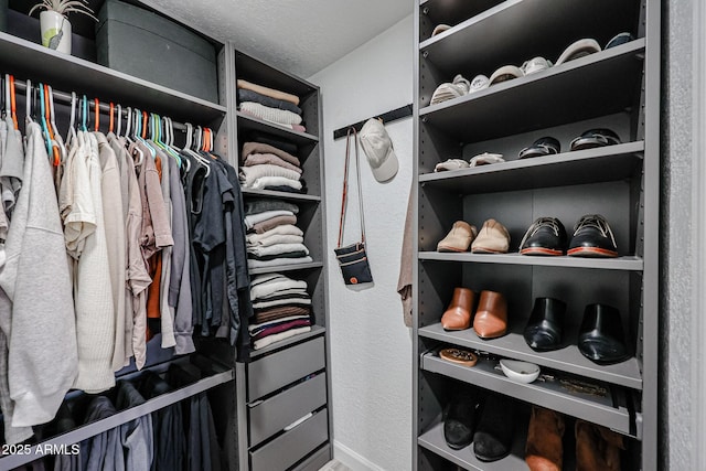 view of walk in closet