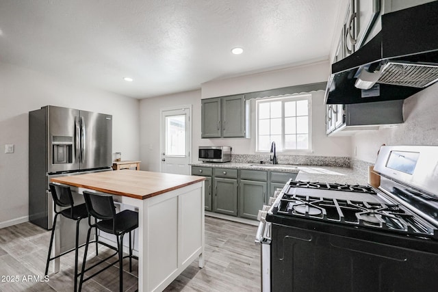 kitchen with a wealth of natural light, appliances with stainless steel finishes, and light hardwood / wood-style flooring