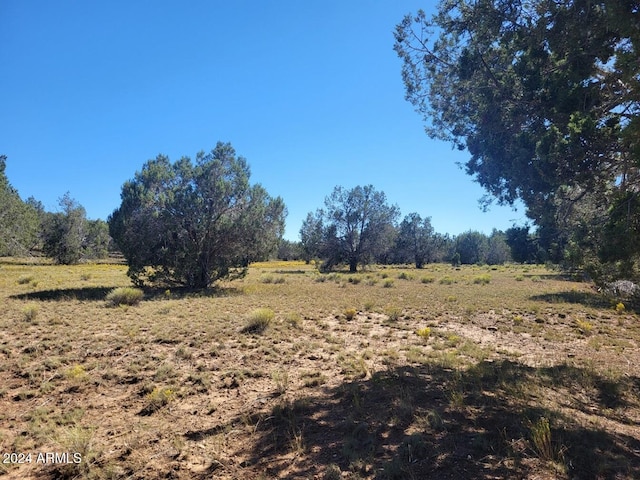 220 Six Shooter Trl Unit 220, Williams, AZ 86046