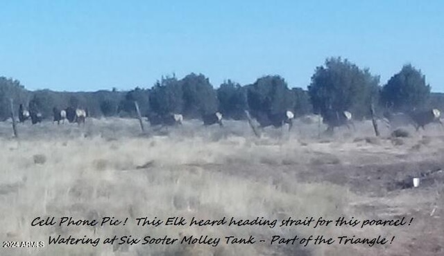 220 Six Shooter Trl Unit 220, Williams, AZ 86046