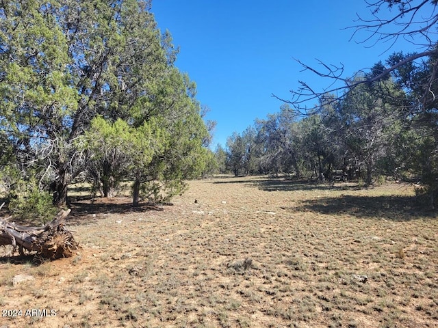 220 Six Shooter Trl Unit 220, Williams, AZ 86046