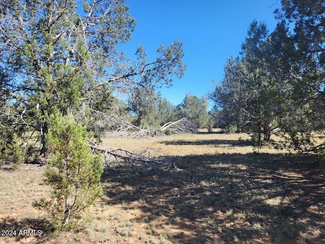 220 Six Shooter Trl Unit 220, Williams, AZ 86046