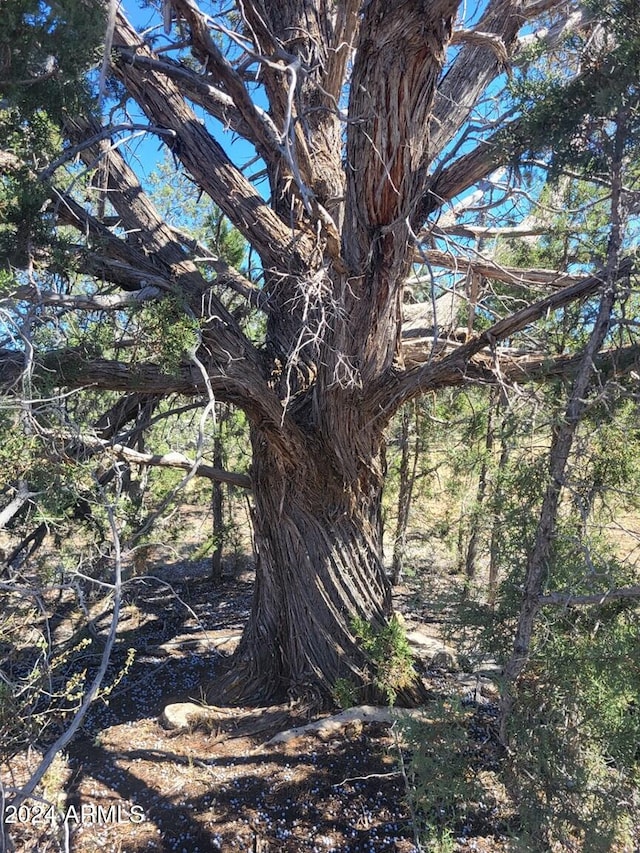 220 Six Shooter Trl Unit 220, Williams, AZ 86046