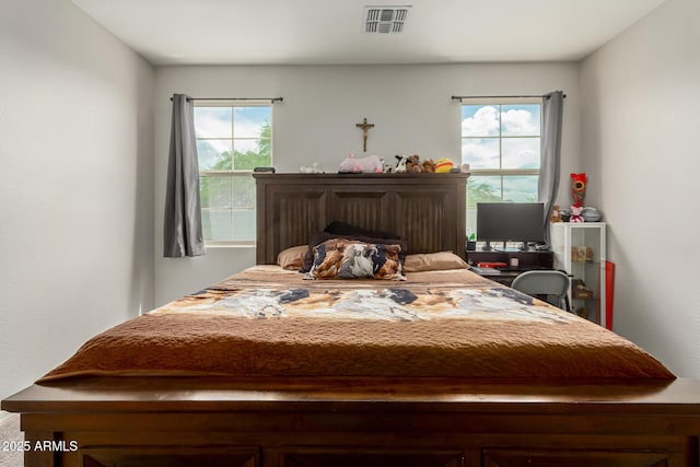 12357 W Whyman Ave, Avondale, AZ 85323 - bedroom with multiple windows