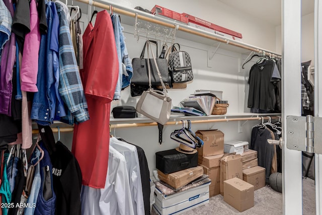 12357 W Whyman Ave, Avondale, AZ 85323 - walk in closet featuring carpet