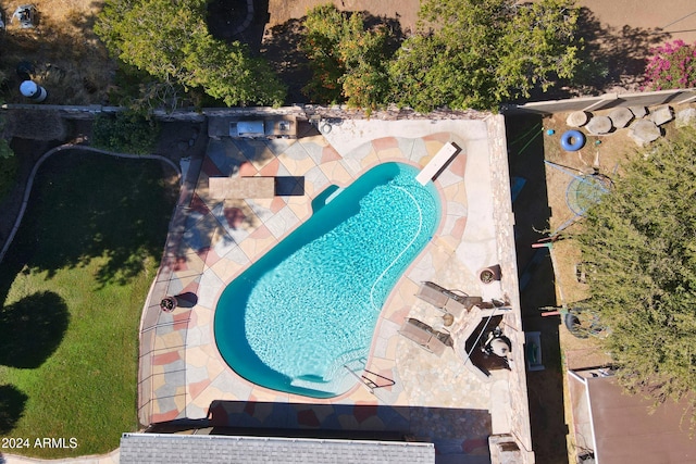 view of pool with a patio area, a yard, and a diving board