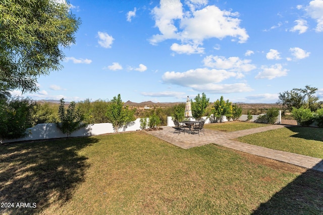 view of yard featuring a patio