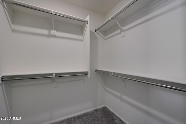 spacious closet with carpet