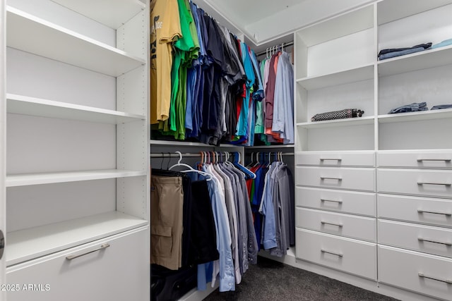 40913 W Williams Way, Maricopa, AZ 85138 - spacious closet featuring dark colored carpet
