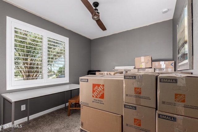 40913 W Williams Way, Maricopa, AZ 85138 - view of storage room