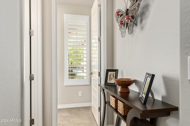 doorway to outside featuring light colored carpet