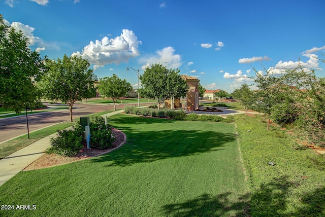 view of community featuring a lawn