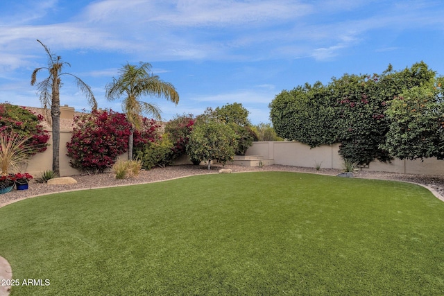 view of yard with a fenced backyard